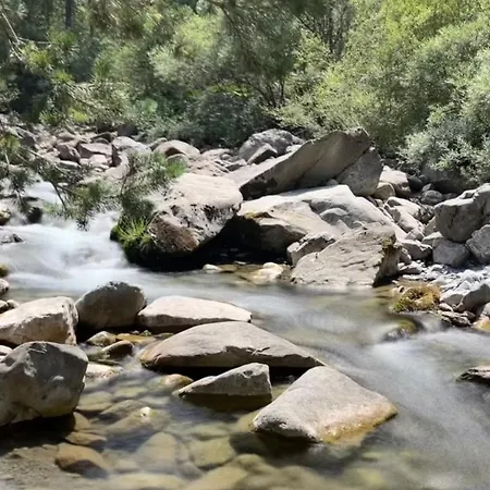 La Foux D'allos Au Pied Des Pistes Allos